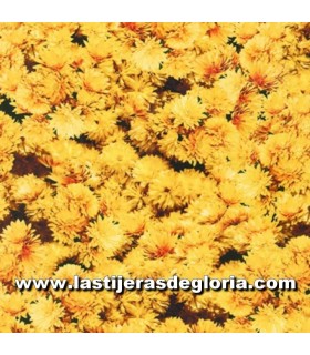 Paisaje Tela floral amarillo Sunkissed colección Imagining de Robert Kaufman