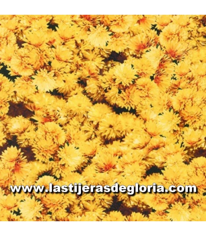 Paisaje Tela floral amarillo Sunkissed colección Imagining de Robert Kaufman