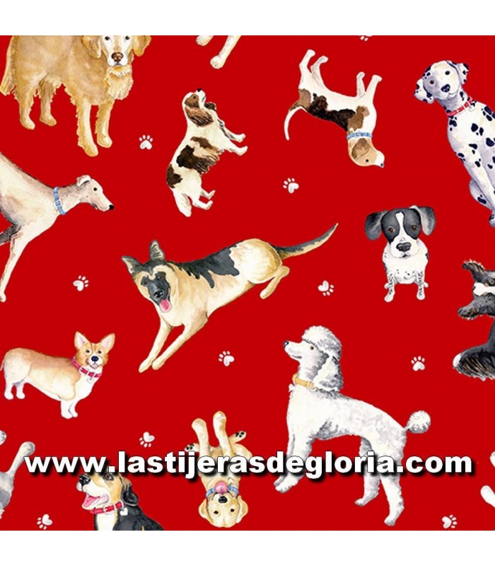Animales Tela razas perros sobre rojo colección Think Pawsitive de Benartex