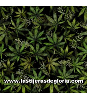 Estampados Tela hojas de cannabis sobre negro colección Happy Harvest de Quiltintg Treasures