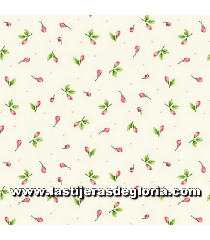Estampados 