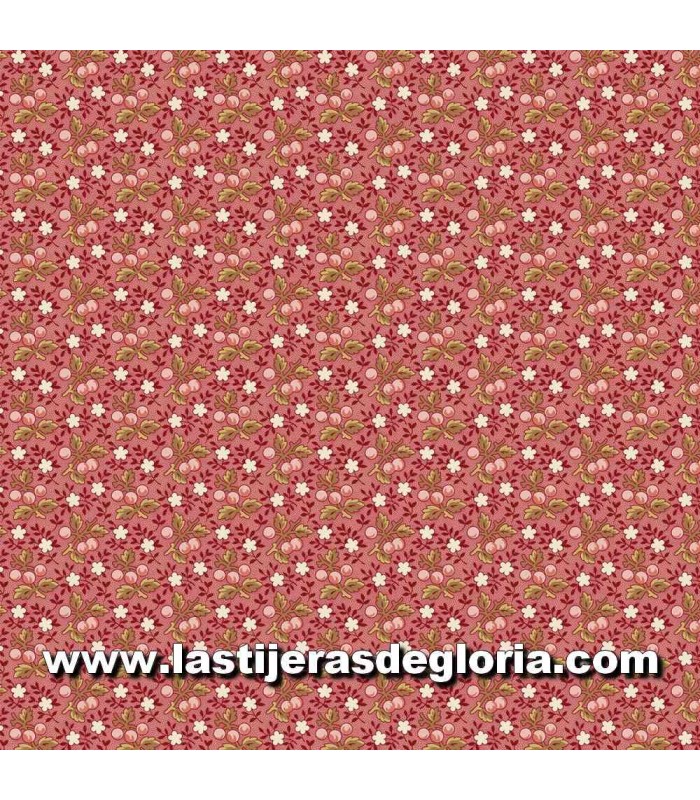 Tela flores sobre rosa Back In The Day de Marcus Fabrics