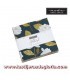 Precortado Charm Pack 42 telas 5 x 5" colección GOLDENROD de Moda Fabrics