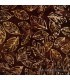 Tela Batik hojas de Secuoya marron Autumn Skies de Robert Kaufman
