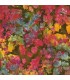 Tela Batik hojas multicolor Aspen de Artisan Batiks