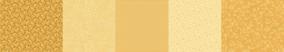 R161764D-strip-it-5-yellow-kathleens story